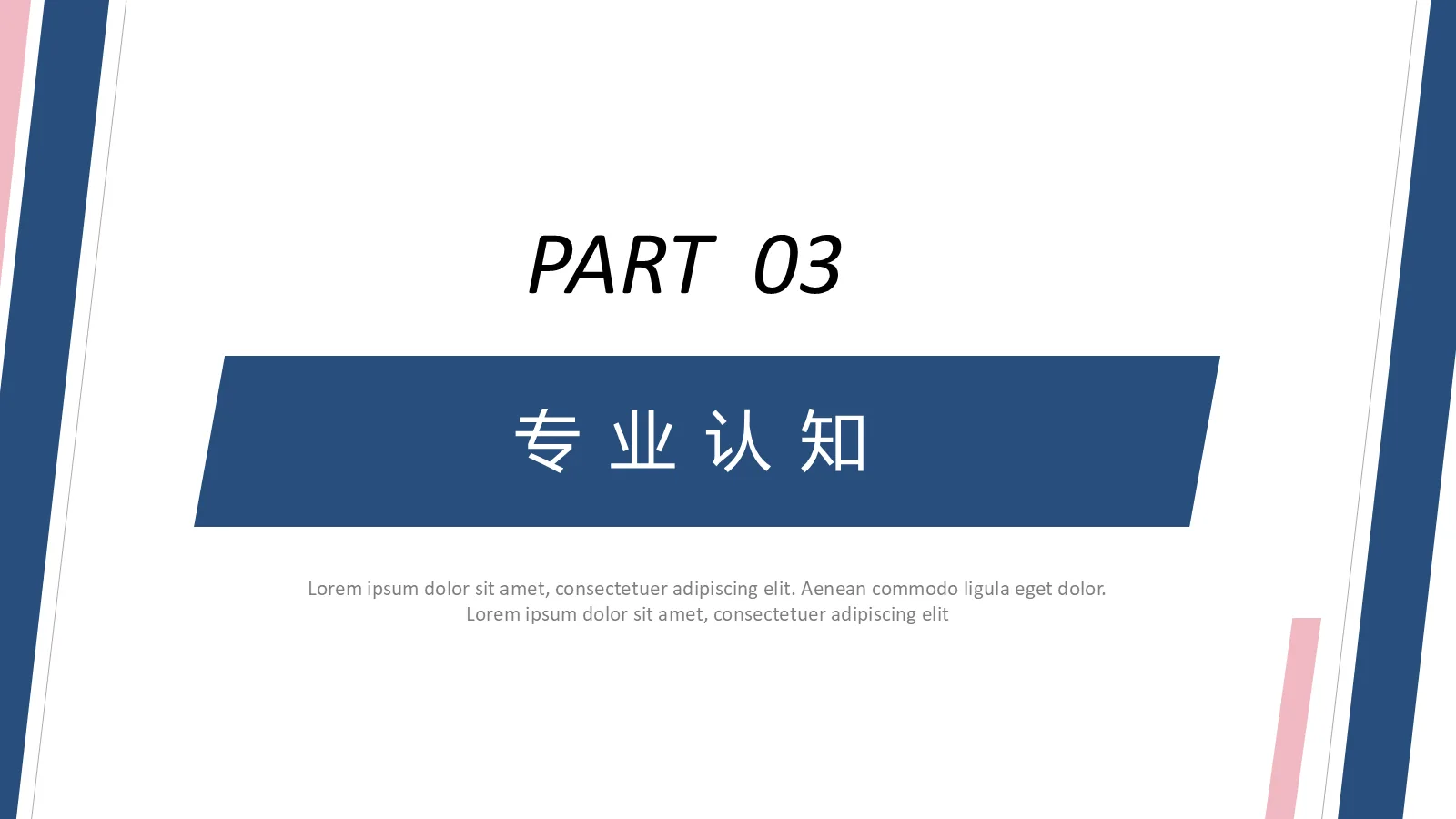 考研复试PPT模板 第 9 页预览图