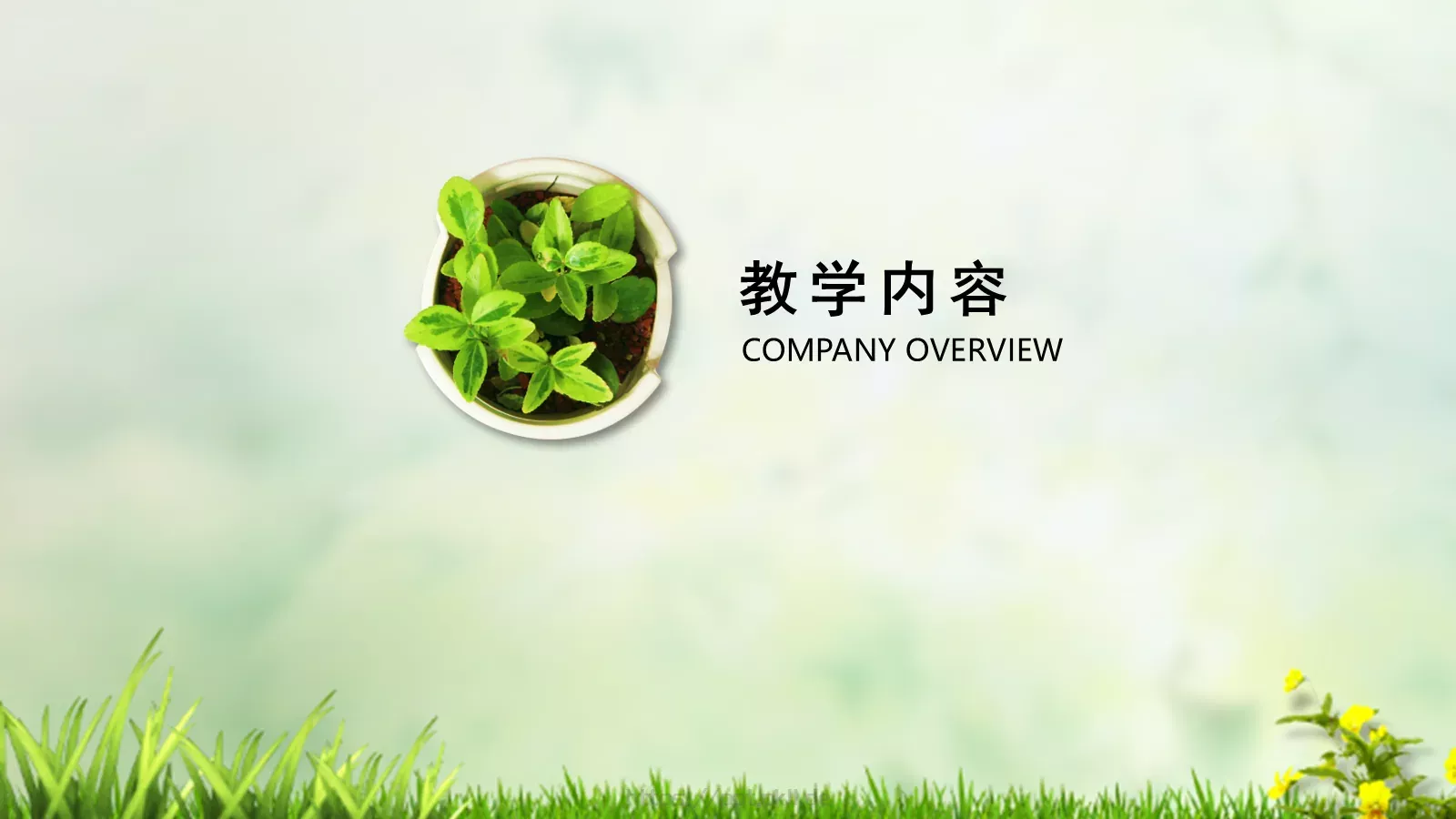 师公开课培训课件 第 3 页缩略图