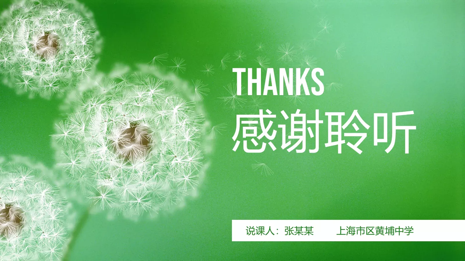 教师说课通用PPT模板 第 37 页预览图