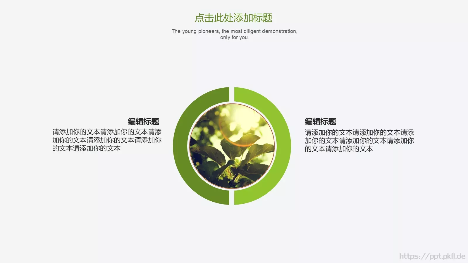 教育通用PPT模板 第 13 页预览图