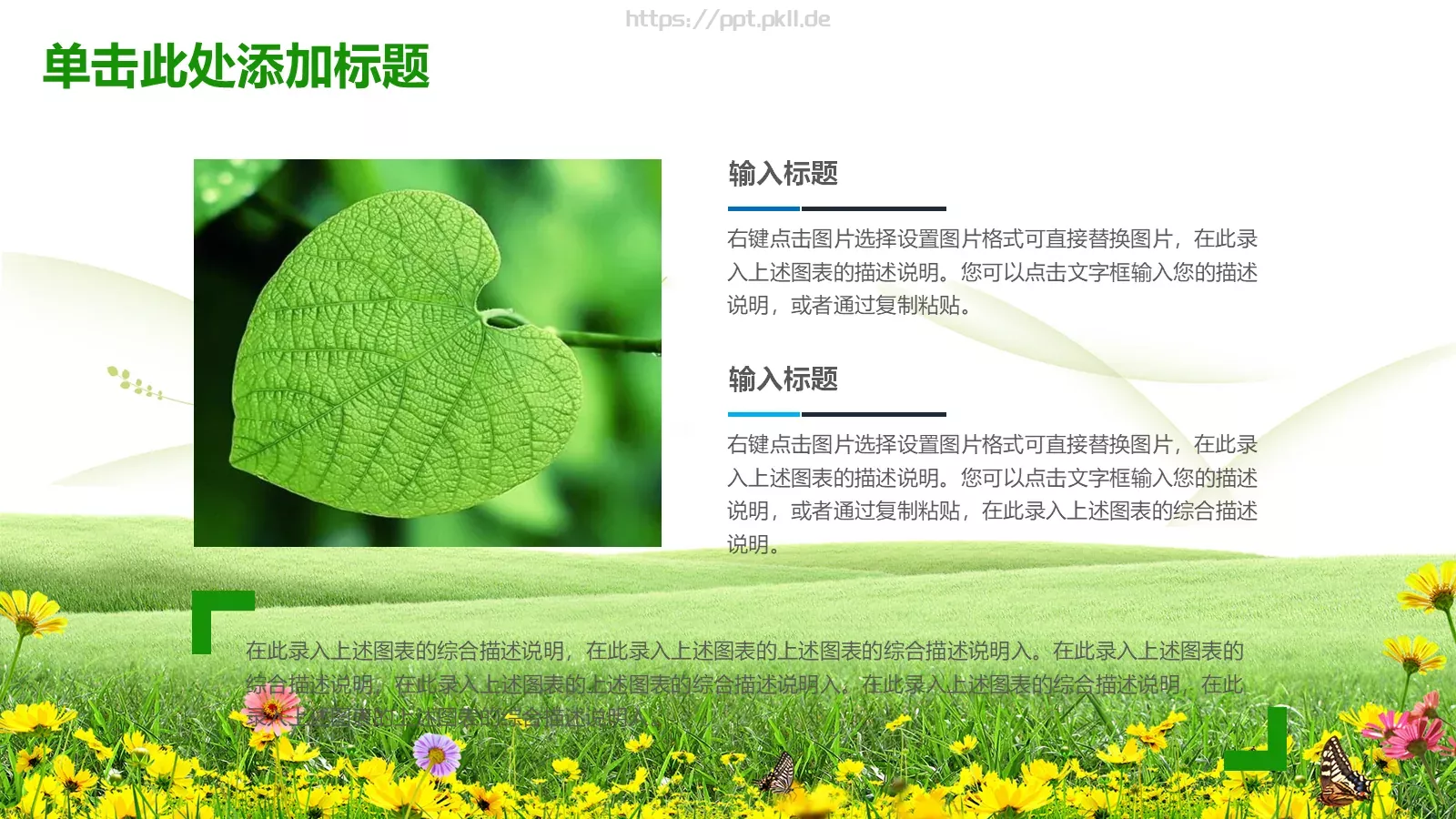 清新教育课件模板 第 5 页预览图