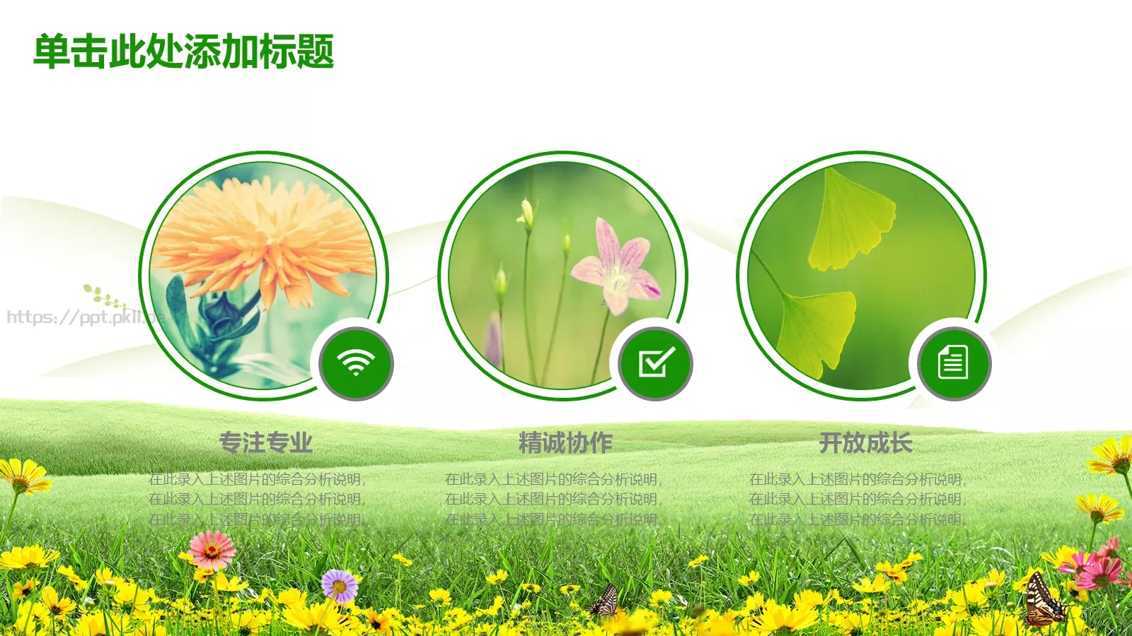 清新教育课件模板 第 4 页缩略图