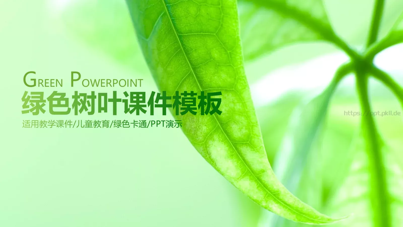 绿色树叶课件模板 封面图