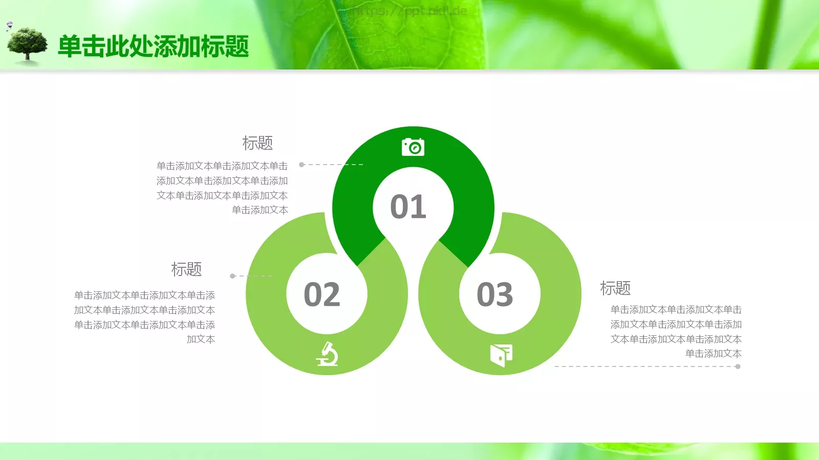 绿色树叶课件模板 第 14 页预览图