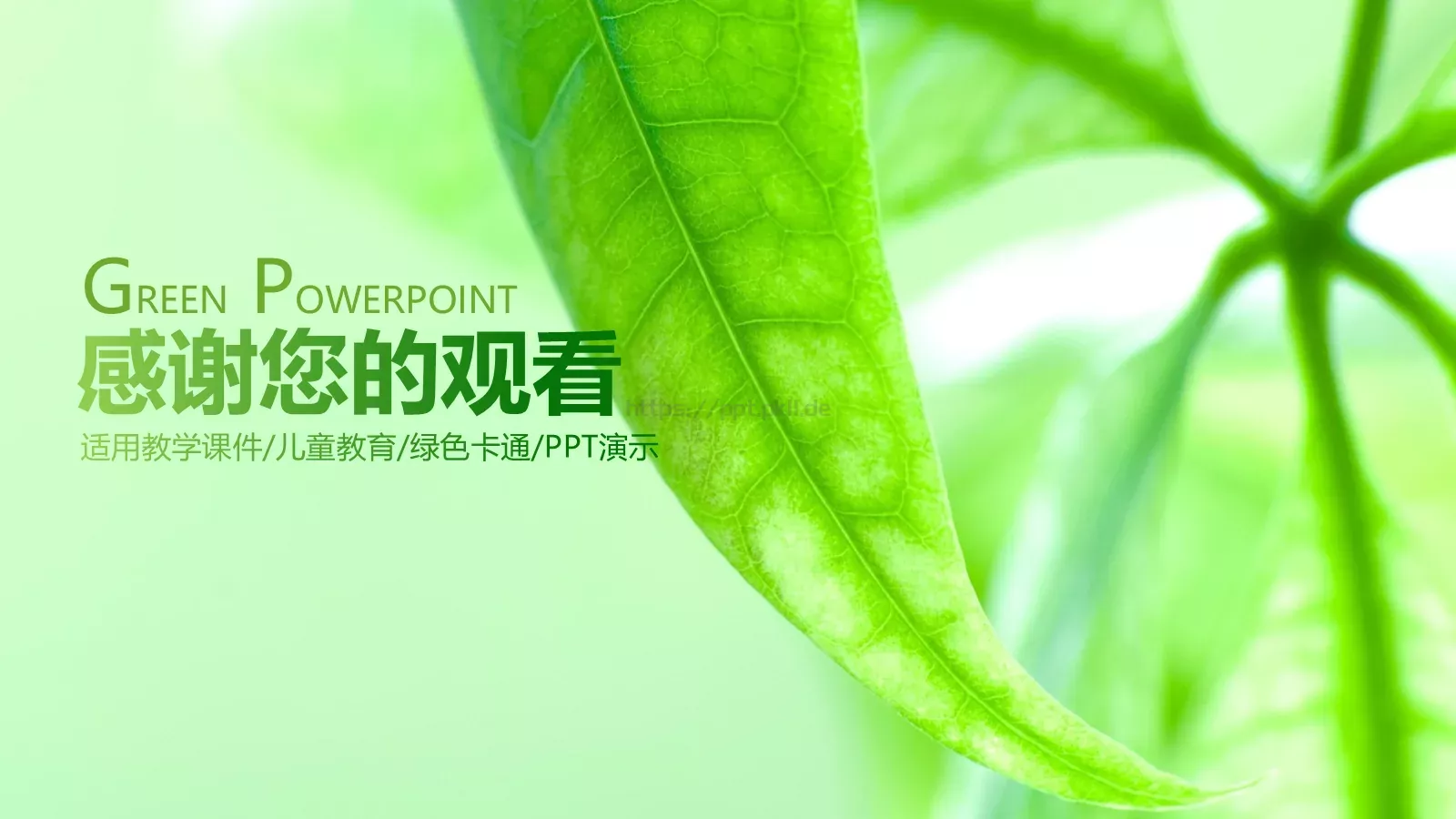 绿色树叶课件模板 第 36 页预览图