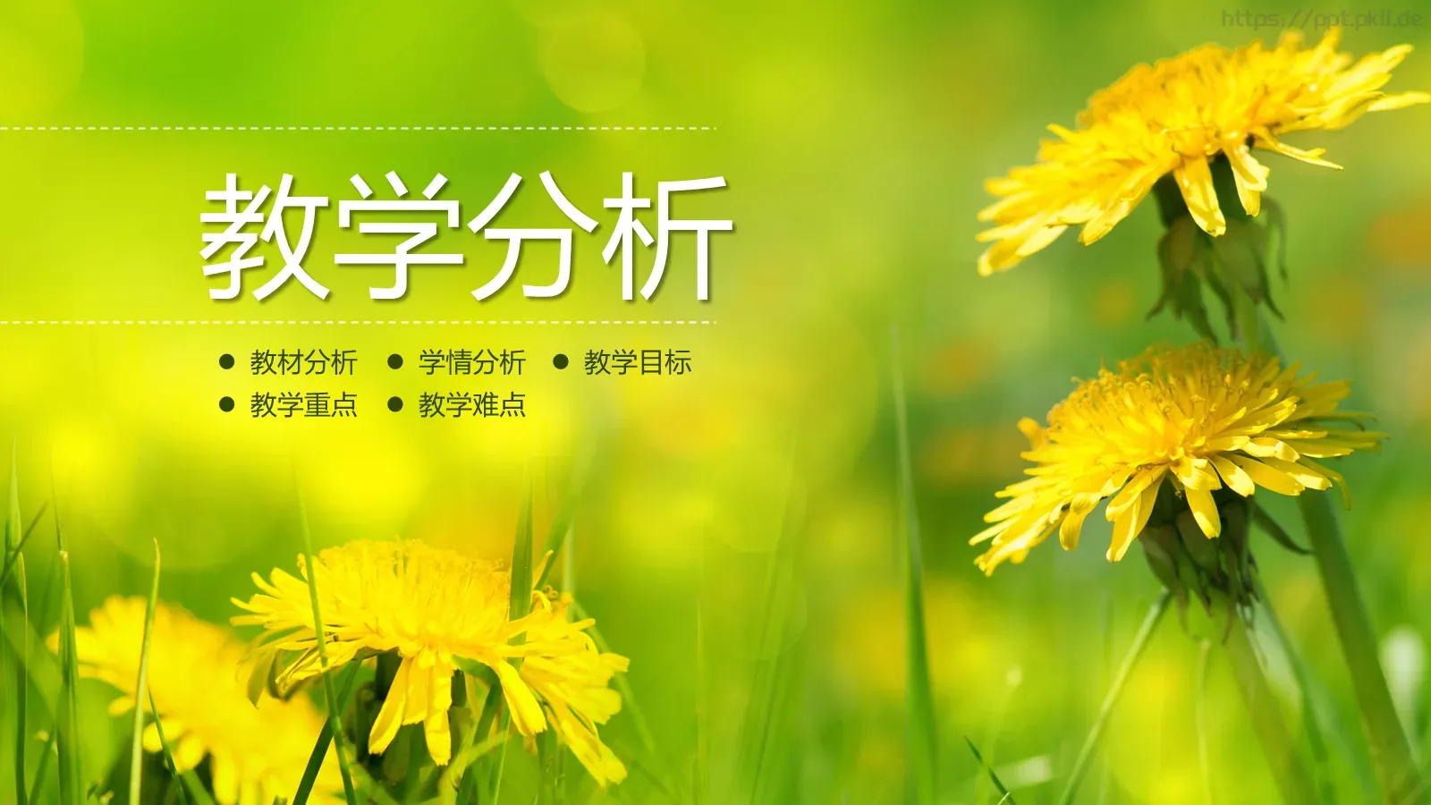 教师说课通用PPT模板 第 3 页缩略图