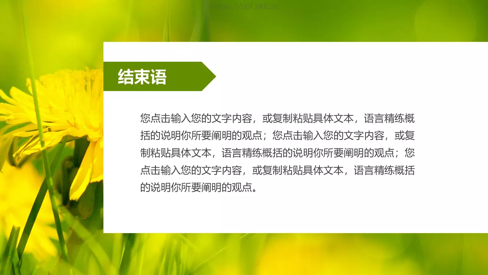 教师说课通用PPT模板 第 31 页预览图