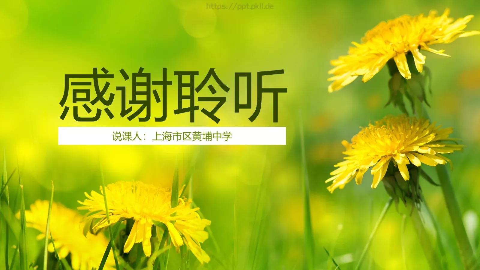 教师说课通用PPT模板 第 32 页预览图