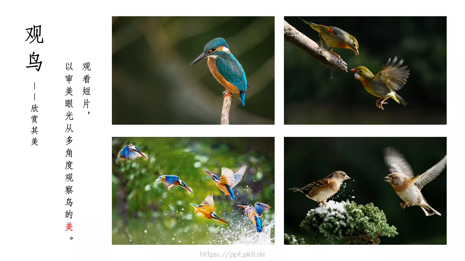 人教部编版语文七年级上册课件 第 2 页缩略图