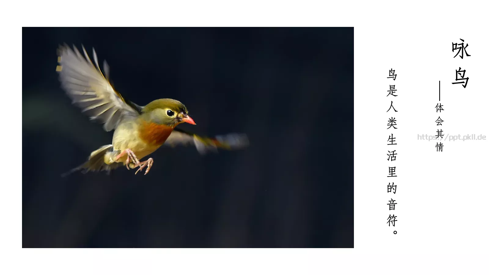 人教部编版语文七年级上册课件 第 4 页缩略图