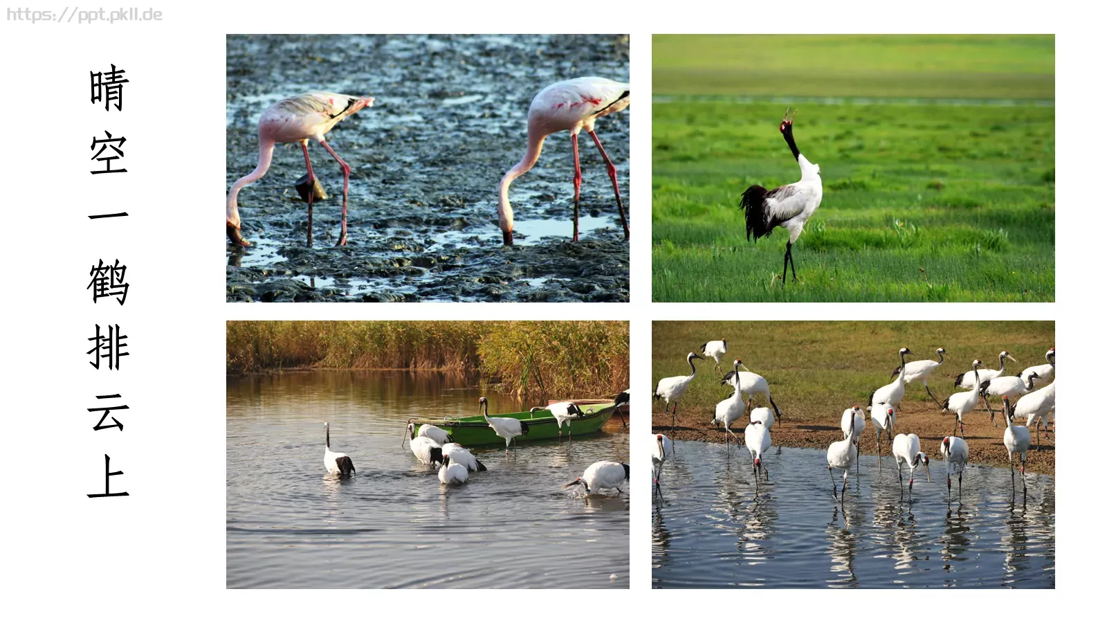 人教部编版语文七年级上册课件 第 3 页缩略图