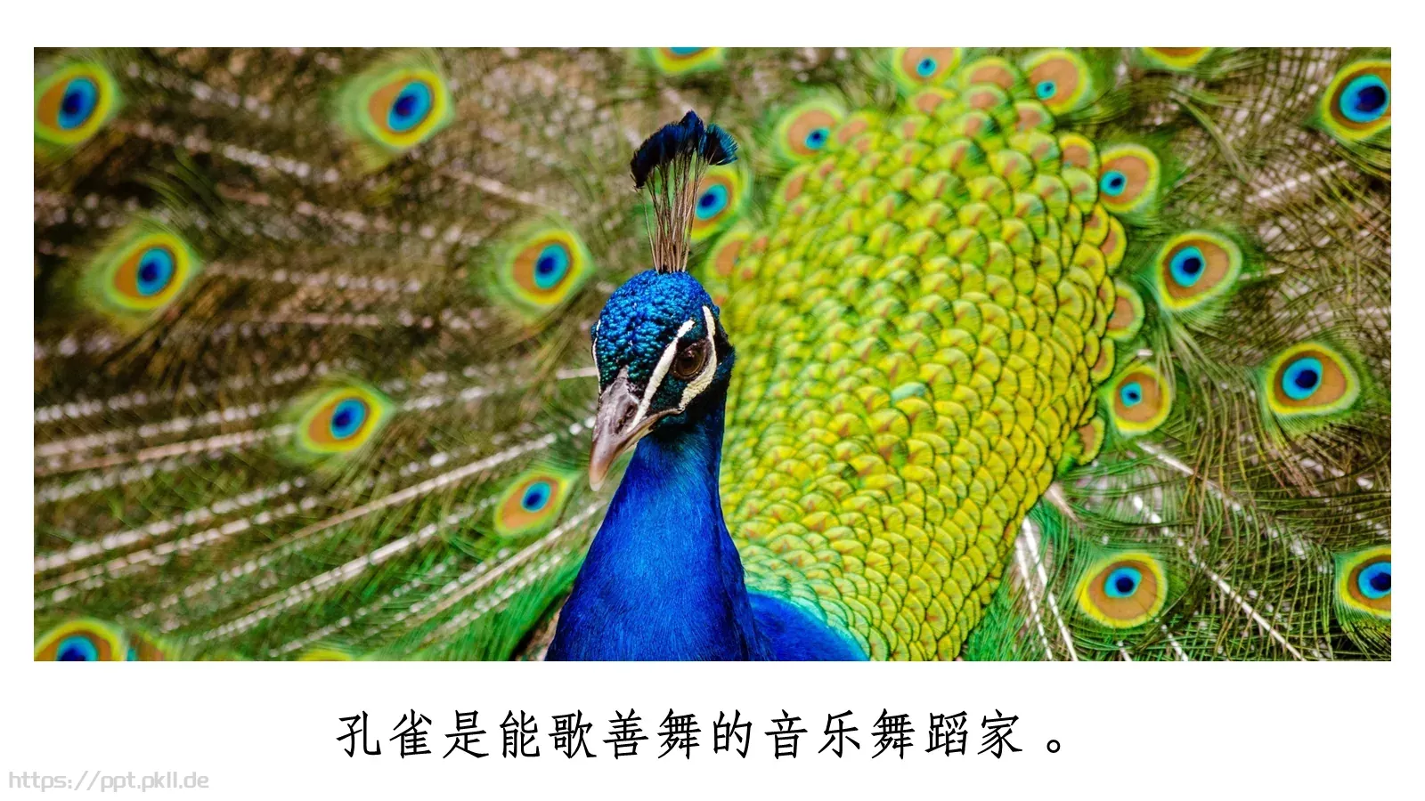 人教部编版语文七年级上册课件 第 5 页预览图