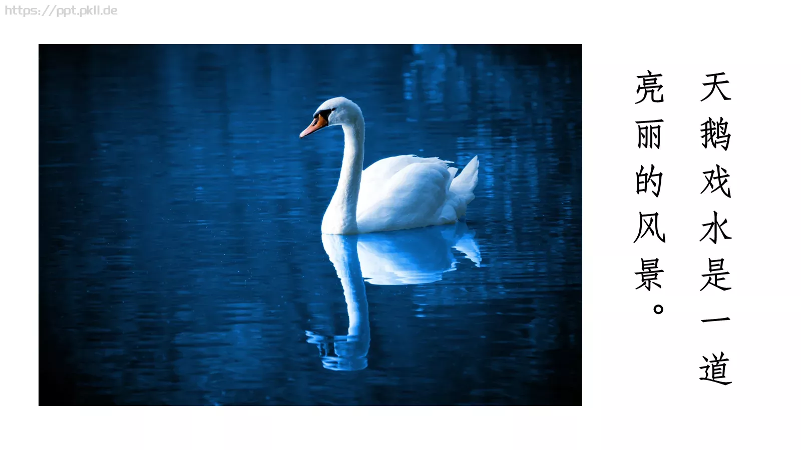 人教部编版语文七年级上册课件 第 7 页预览图