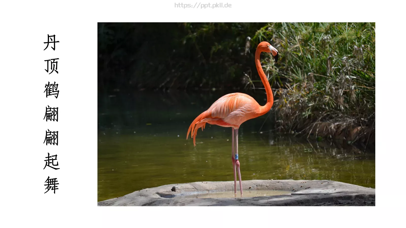 人教部编版语文七年级上册课件 第 8 页预览图