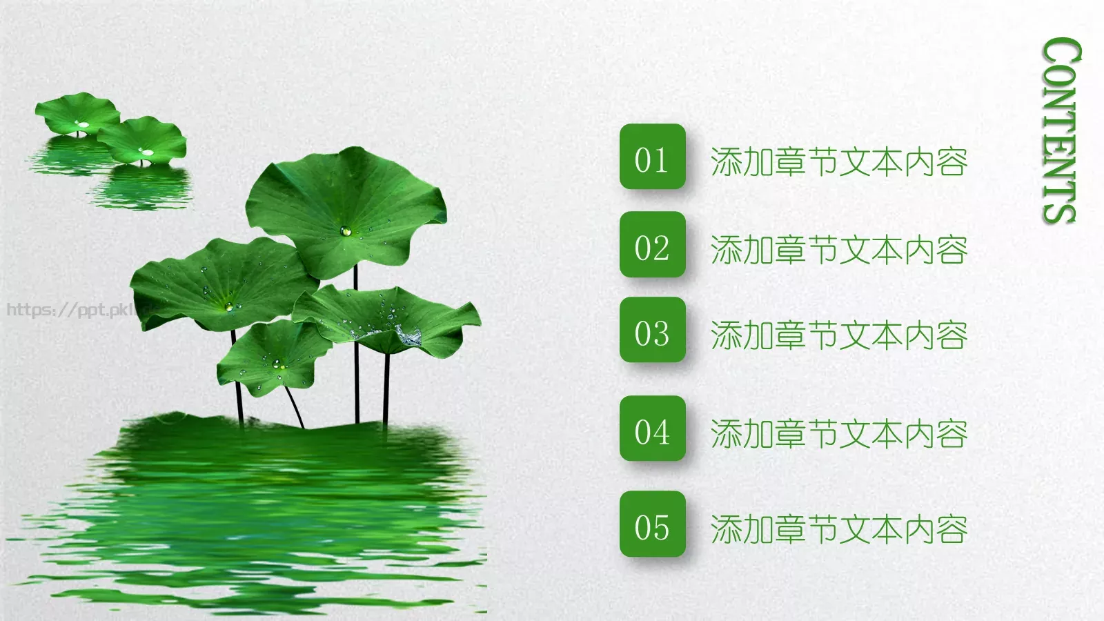 小清新夏荷教师说课PPT模板 第 2 页缩略图