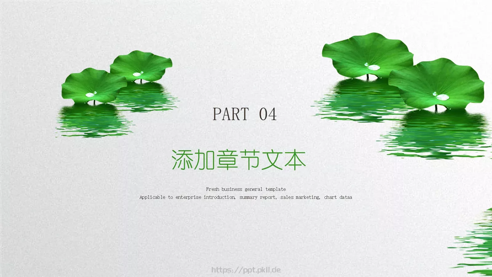 小清新夏荷教师说课PPT模板 第 20 页预览图