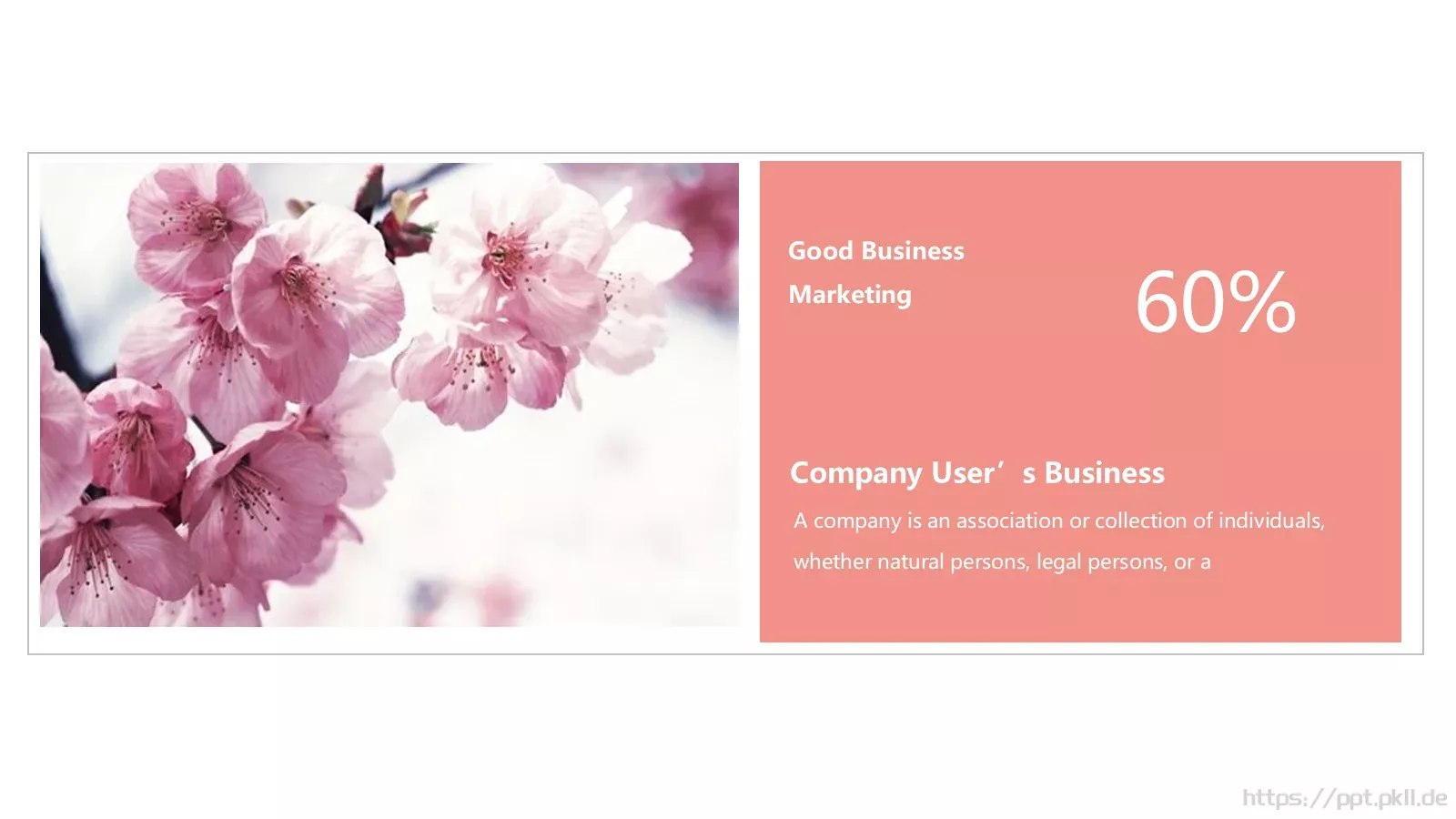 小清新教育培训PPT模板 第 4 页缩略图