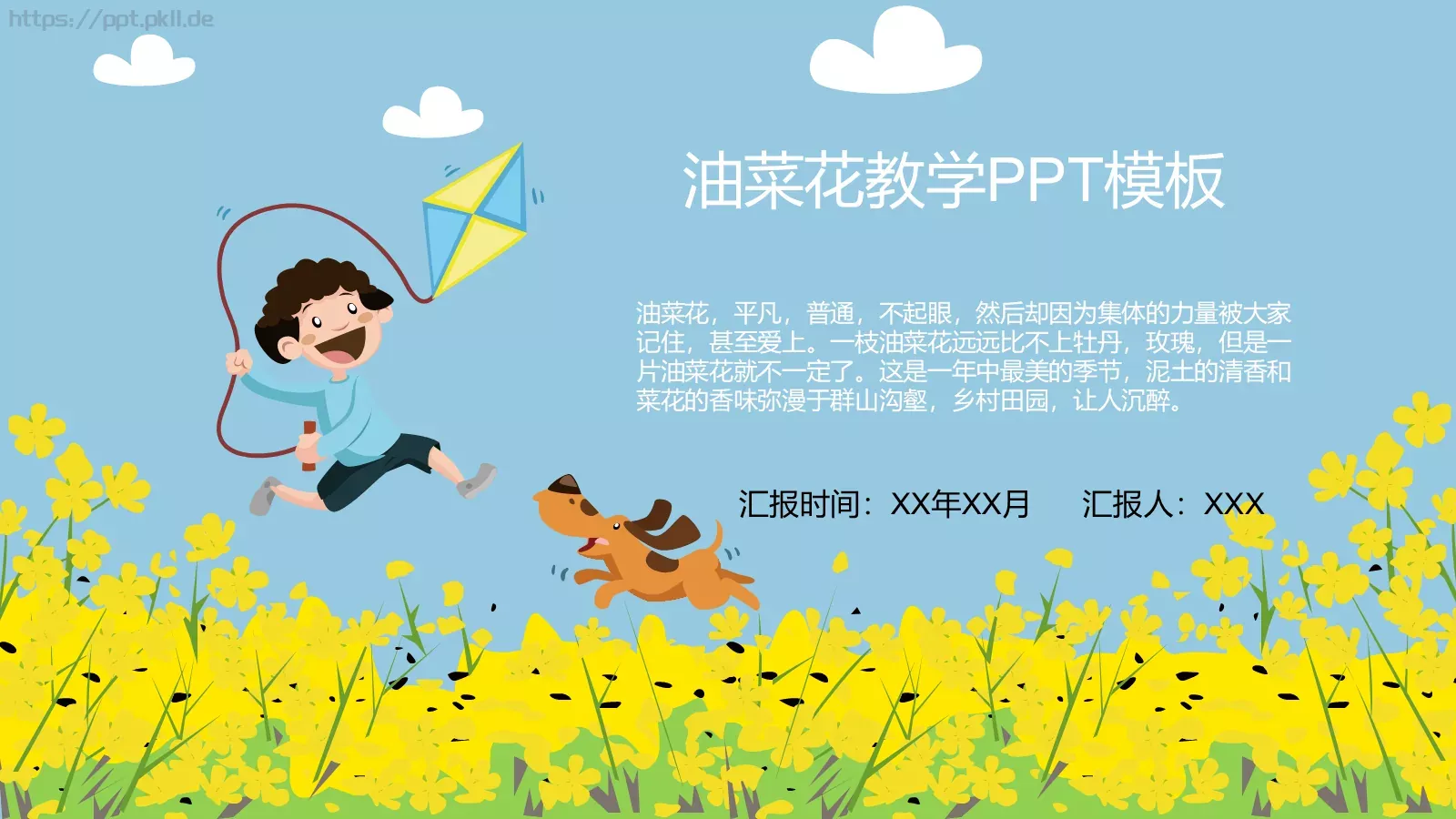 油菜花教学PPT模板 封面图