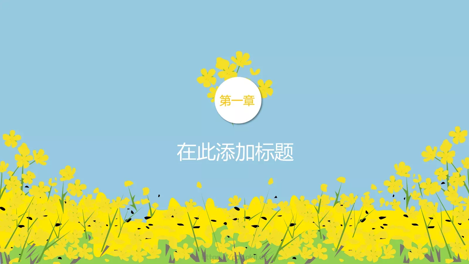 油菜花教学PPT模板 第 3 页缩略图