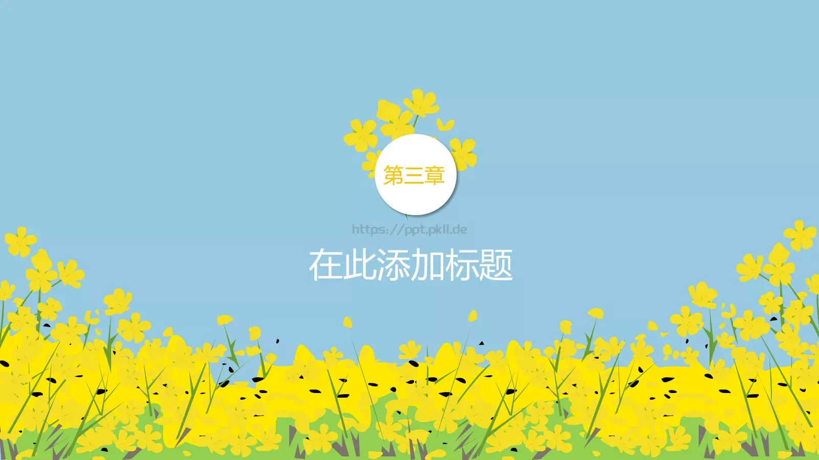 油菜花教学PPT模板 第 13 页预览图