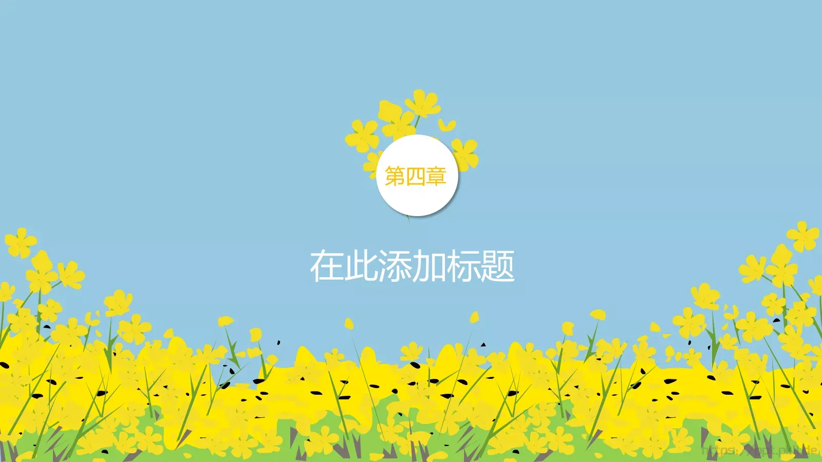 油菜花教学PPT模板 第 18 页预览图