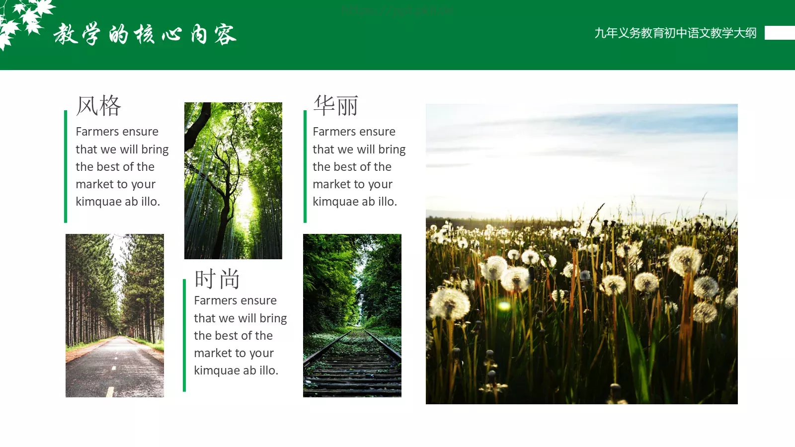 九年义务教育初中语文课件 第 10 页预览图