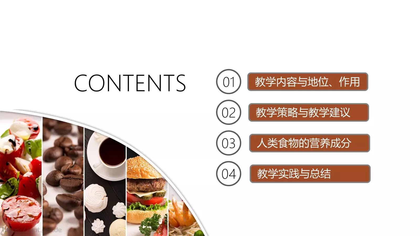 人类的食物教学说课PPT模板 第 2 页缩略图