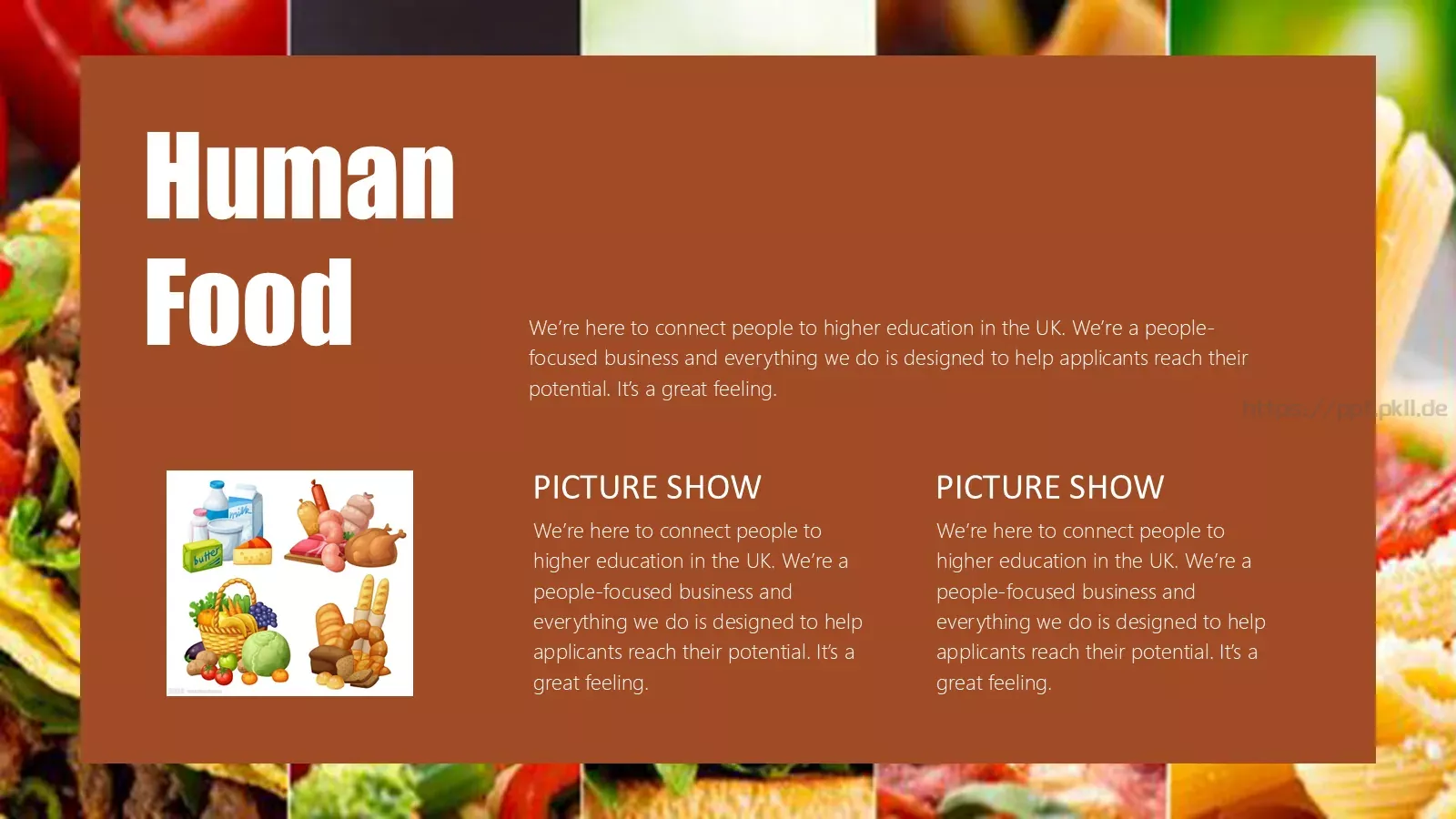 人类的食物教学说课PPT模板 第 4 页缩略图