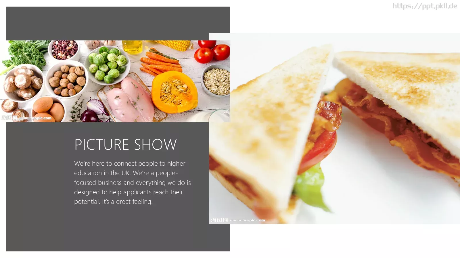 人类的食物教学说课PPT模板 第 6 页预览图