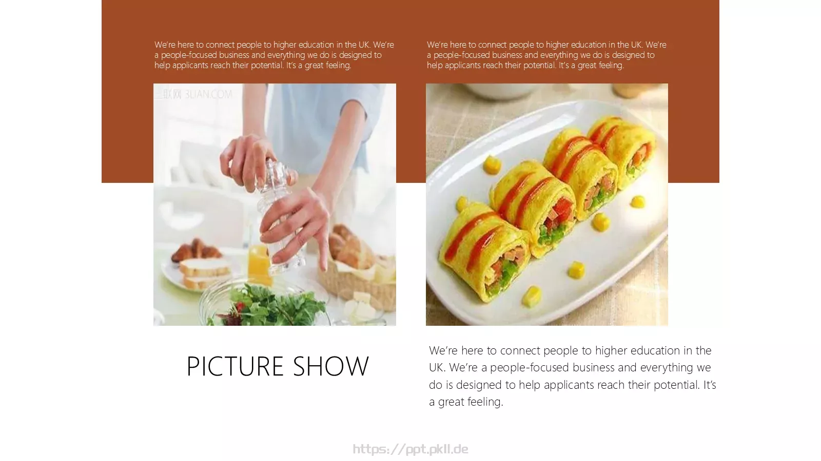 人类的食物教学说课PPT模板 第 19 页预览图