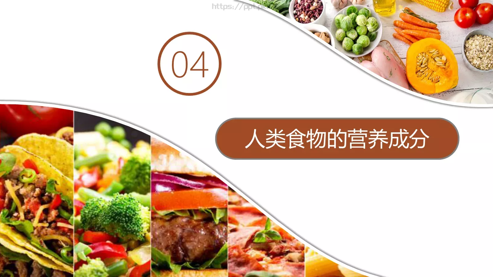 人类的食物教学说课PPT模板 第 26 页预览图