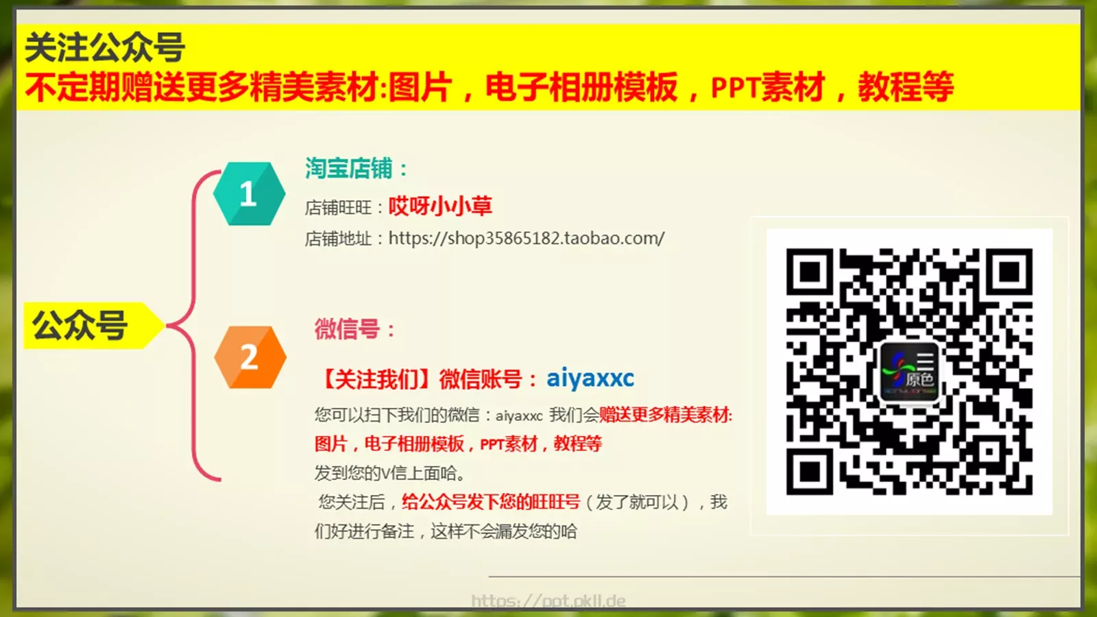 梦幻绿色儿童教学课件 第 42 页预览图