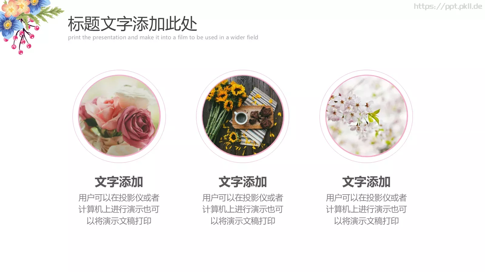 美小清新课件 第 5 页预览图