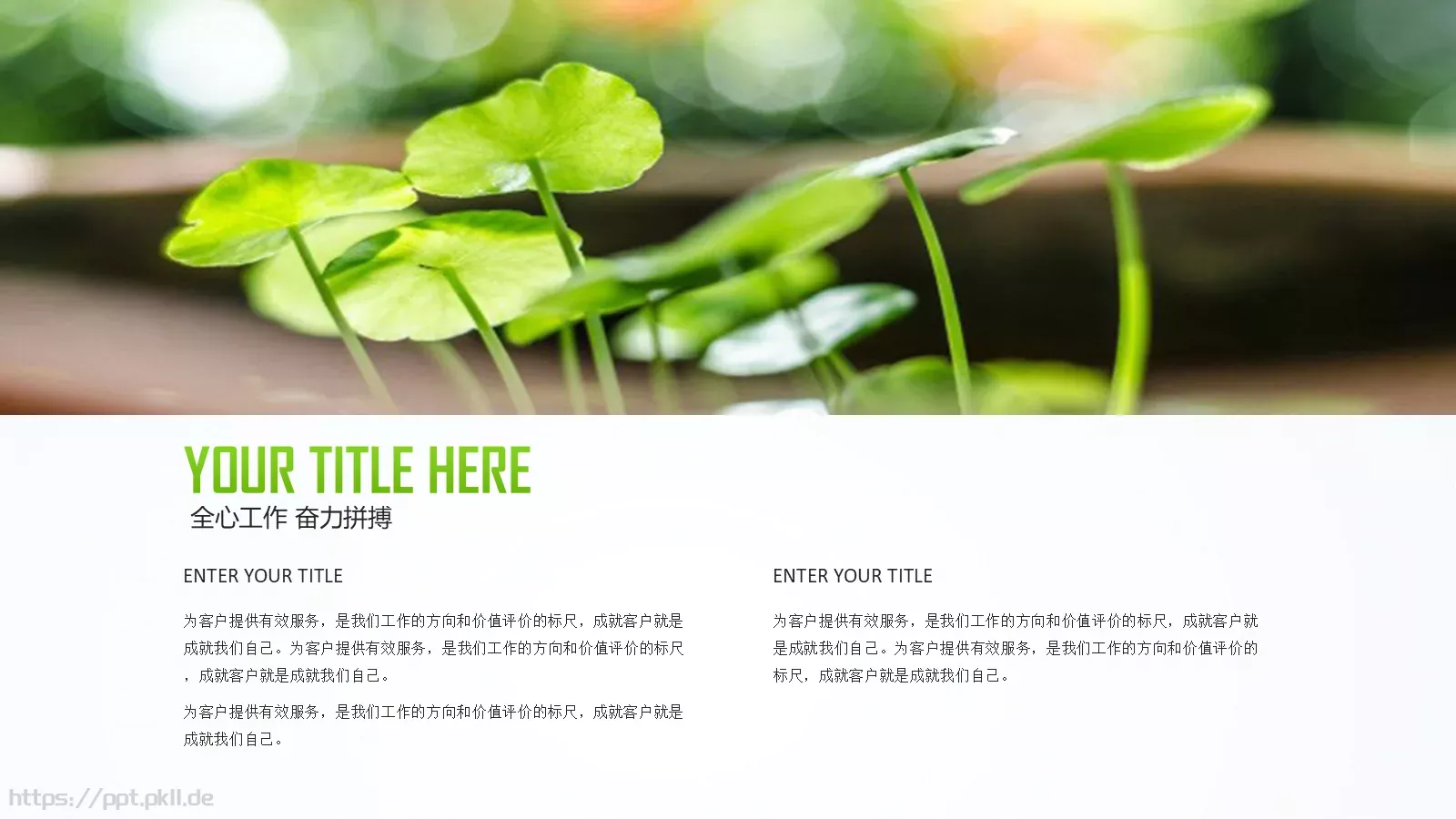 简约清新文化教育教学课件 第 4 页缩略图