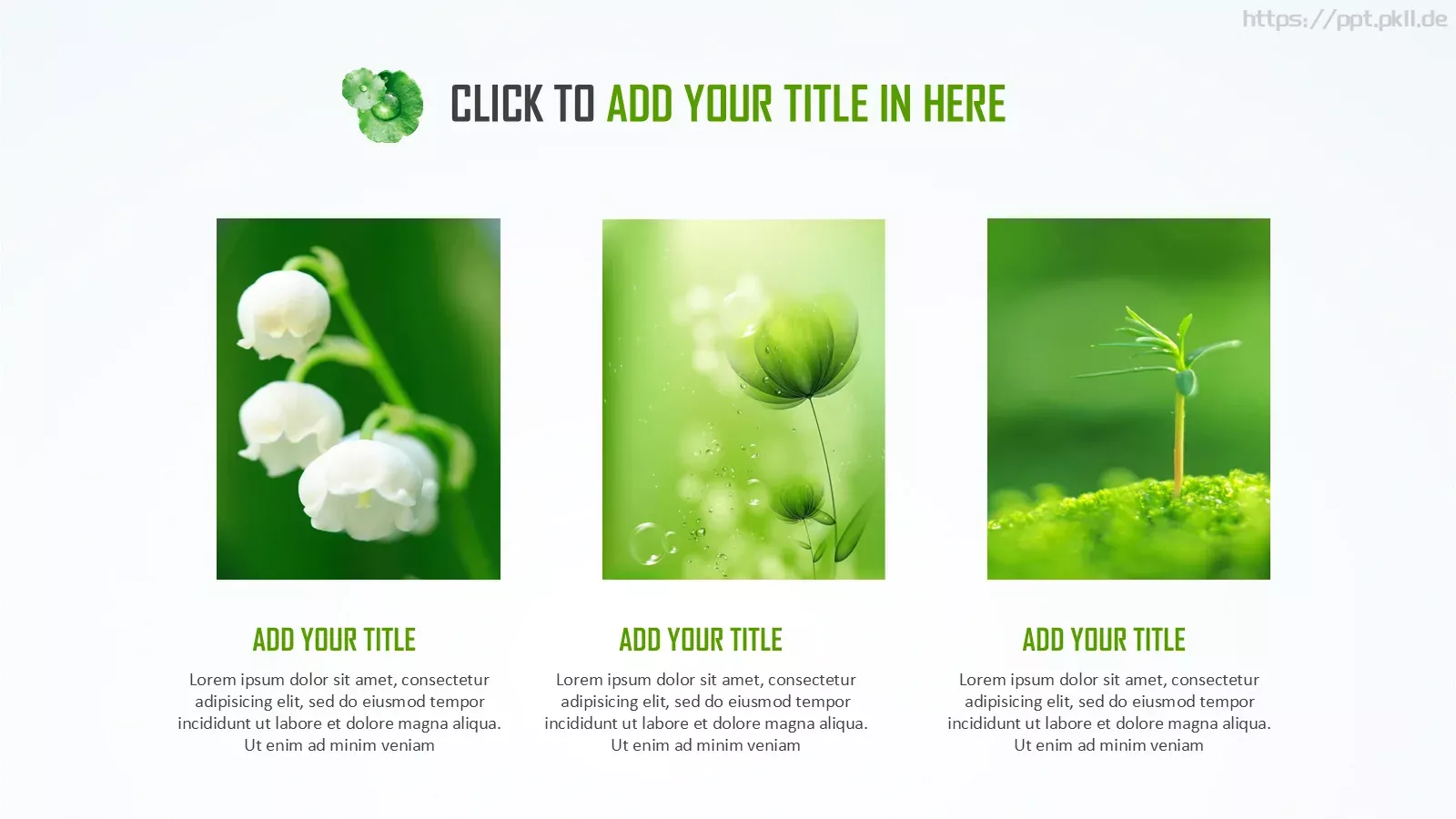 简约清新文化教育教学课件 第 13 页预览图