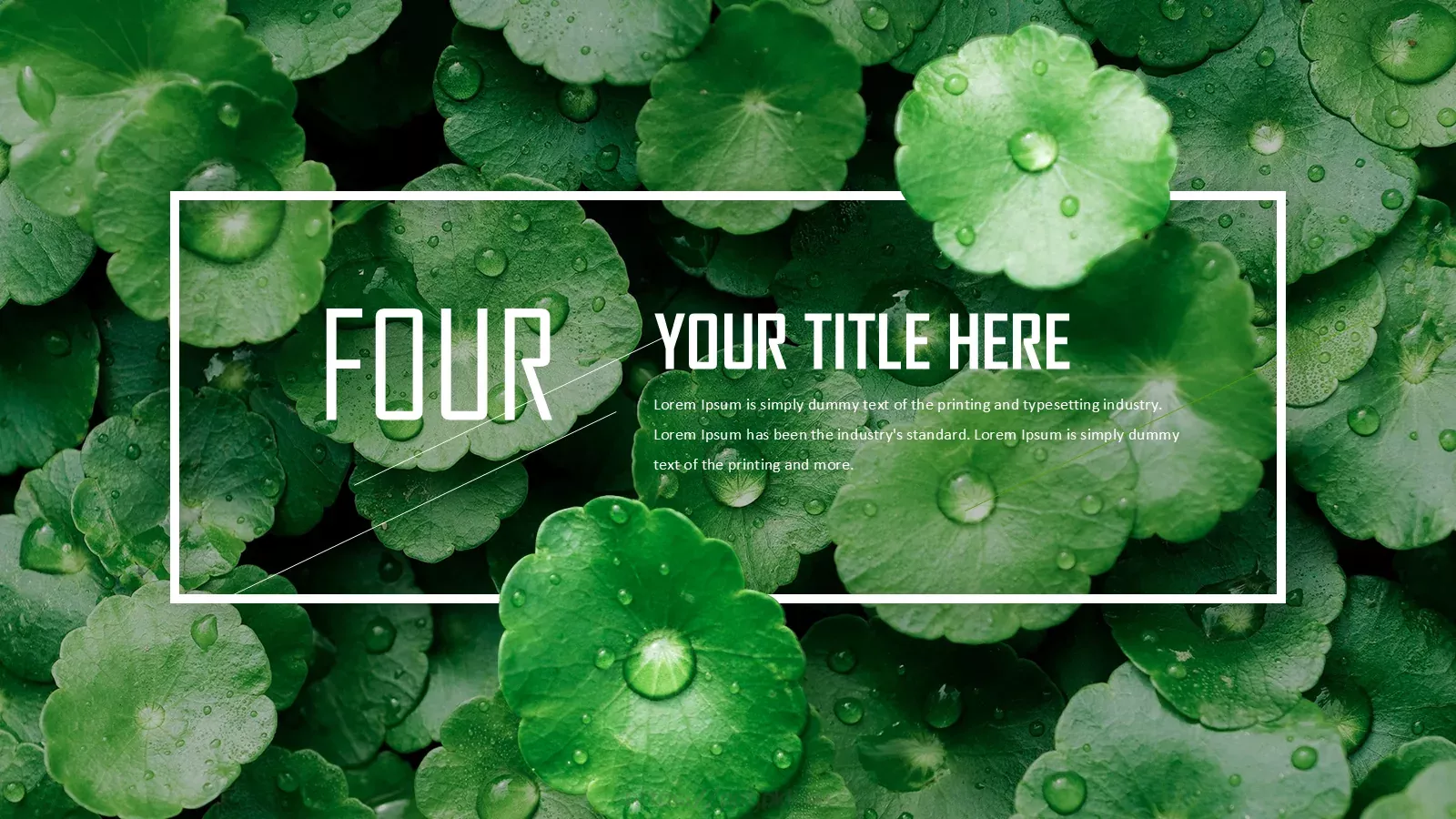 简约清新文化教育教学课件 第 15 页预览图