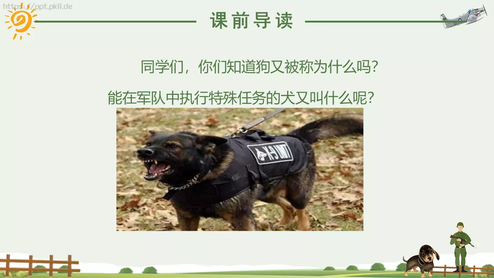 湘教版语文课件《军犬黑子》 第 4 页缩略图