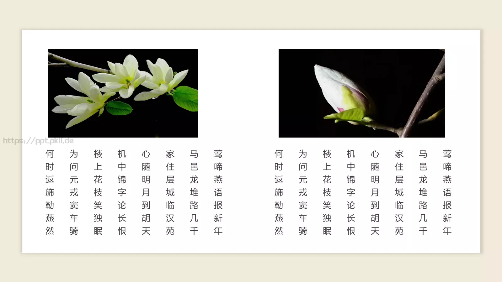 诗歌朗诵传承国学经典汇报PPT模板 第 13 页预览图