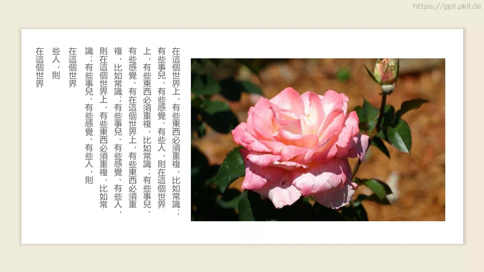 诗歌朗诵传承国学经典汇报PPT模板 第 19 页预览图