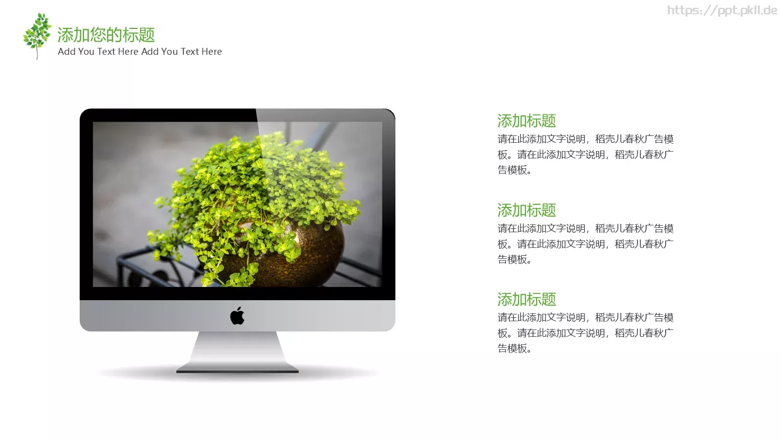 树叶教学课件模板 第 4 页缩略图