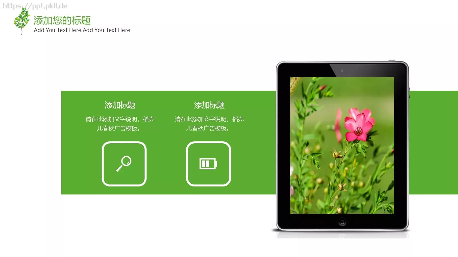 树叶教学课件模板 第 9 页预览图