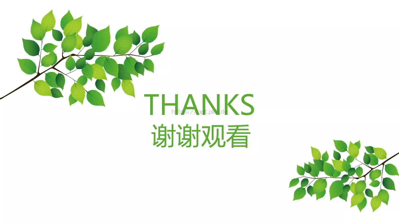 树叶教学课件模板 第 21 页预览图