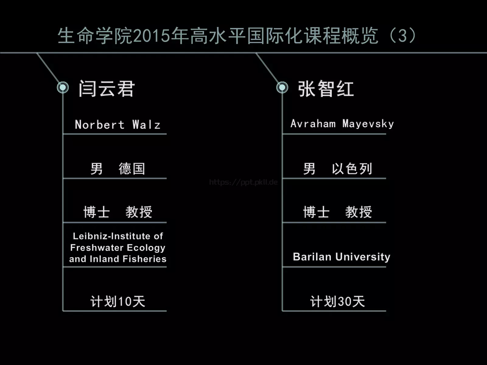 高水平国际化课程建设PPT模板 第 6 页预览图