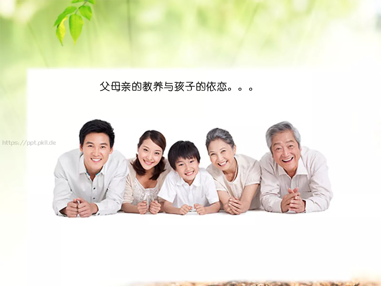 教养与依恋PPT模板 第 13 页预览图