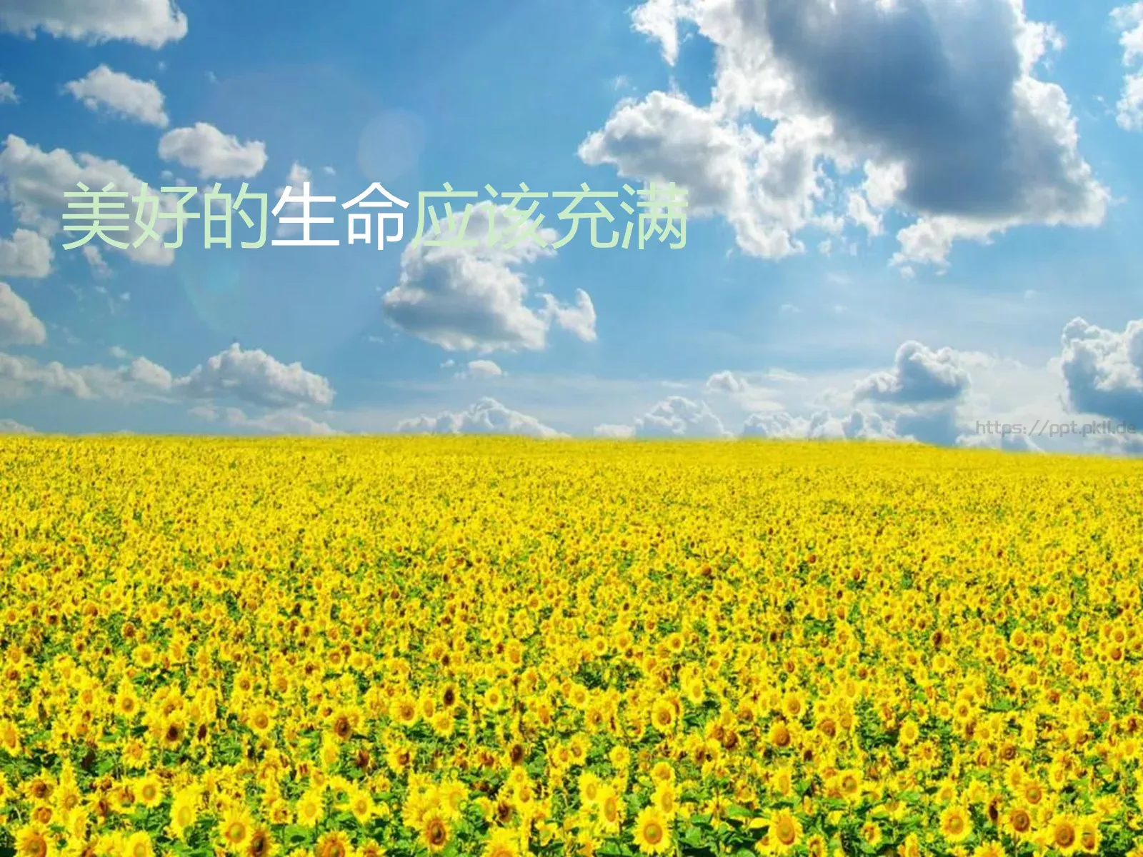 Spirit of Dream MakerPPT模板 第 11 页预览图