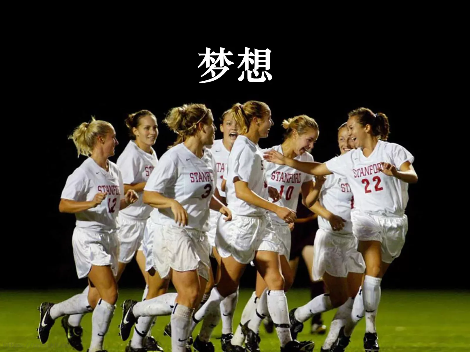 Spirit of Dream MakerPPT模板 第 29 页预览图