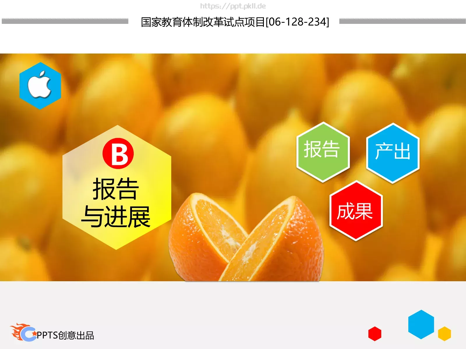 方法和评价制度教学改革项目实施汇报PPT模板 第 8 页预览图