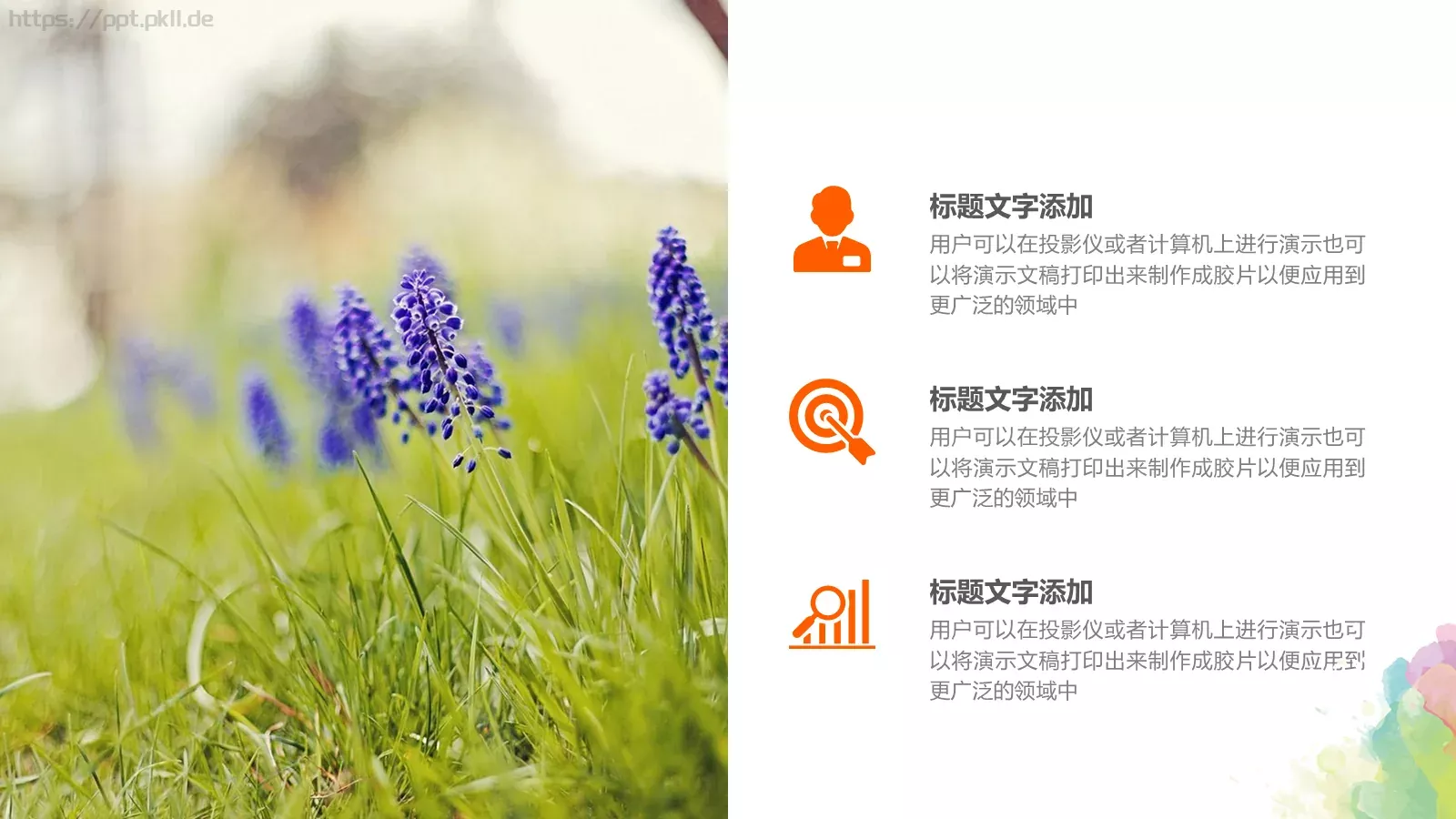 说课教育PPT模板 第 13 页预览图