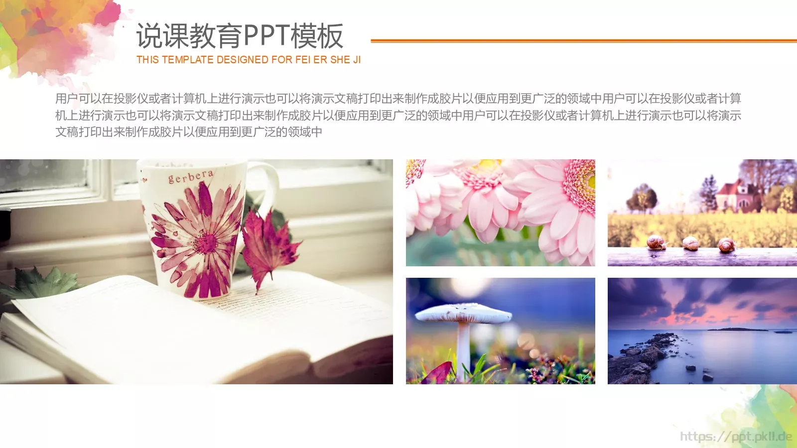 说课教育PPT模板 第 21 页预览图