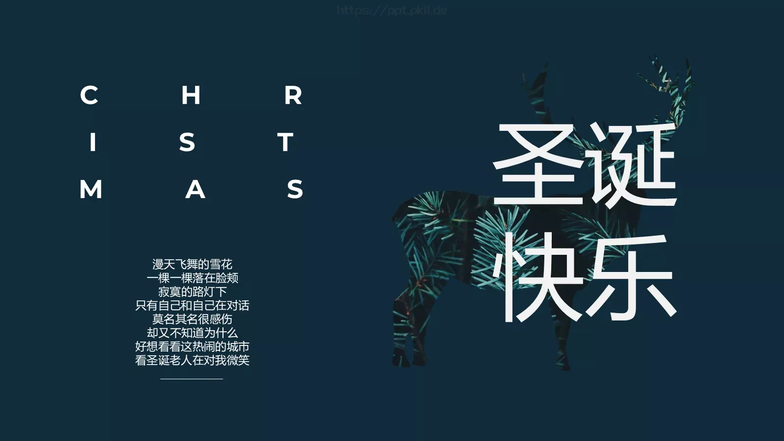 圣诞节汇报PPT模板 第 5 页预览图